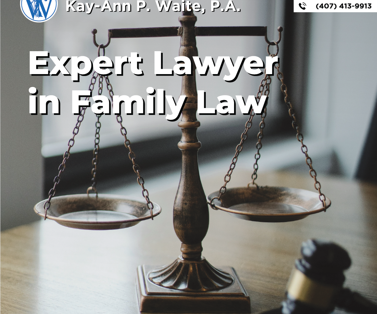 Expert Lawyer in family law