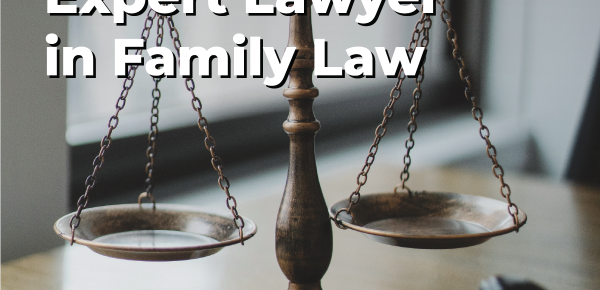 Expert Lawyer in family law