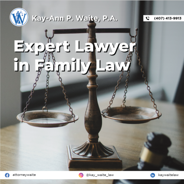 Expert Lawyer in family law
