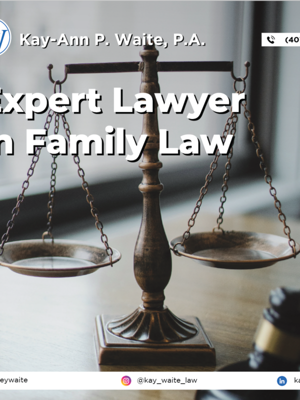 Expert Lawyer in family law