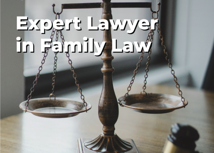 Expert Lawyer in family law