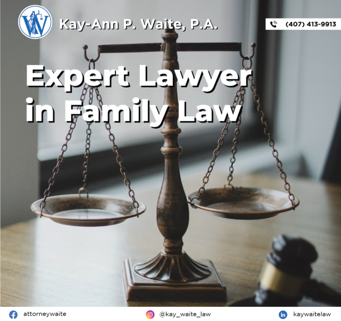 Expert Lawyer in family law