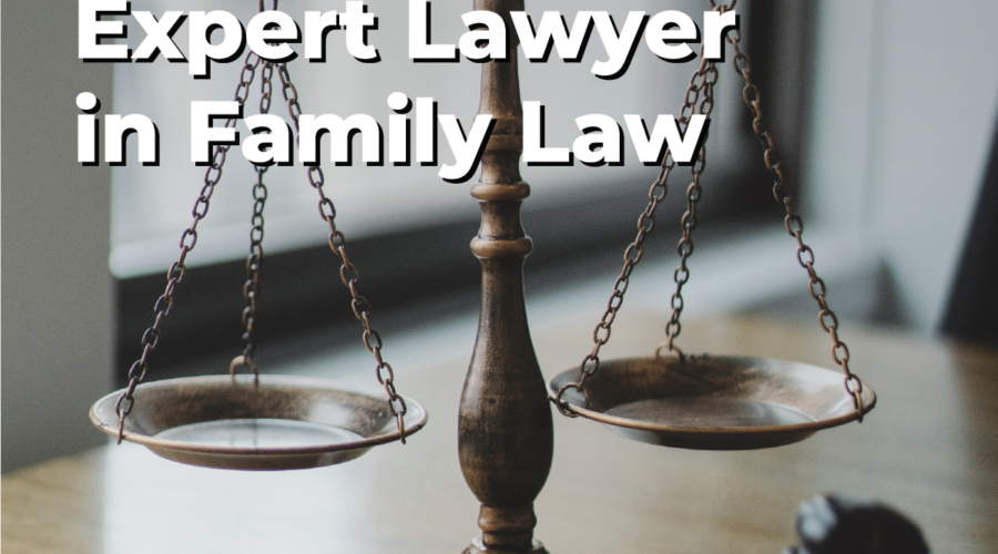 Expert Lawyer in family law